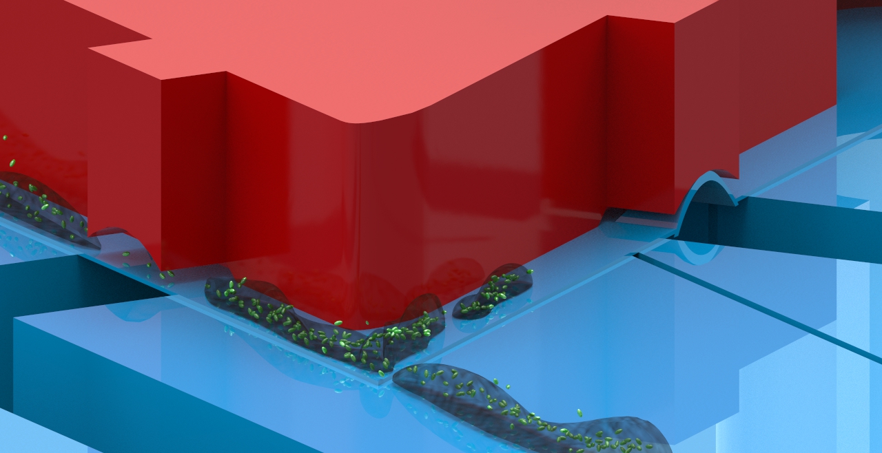 Schematic of microfluidic platform for bioflim segmentation